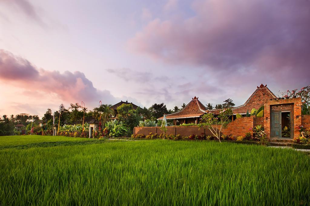 Naya Ubud Buitenkant foto